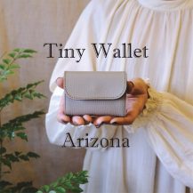 Arizona Tiny Wallet